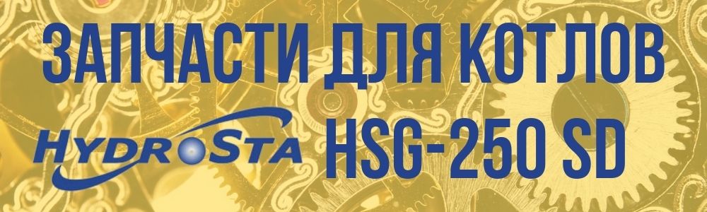 Купить запчасти котла Hydrosta HSG-250 SD в Владивостоке