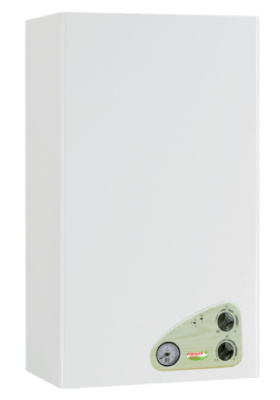 Котел газовый настенный Fondital Victoria Compact CTN 24 AF (дымоход) (CVAR02CC24)